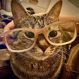 Meet your Posher, Shelly